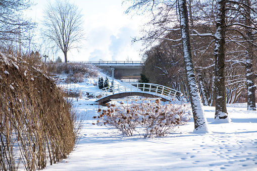 City park in winter, snow-covered wooden bridge and trees. City park in the city of Kotka Finland.