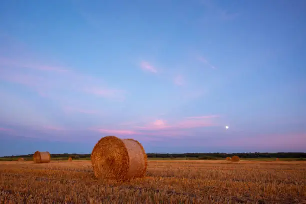 Photo of Evening picture during the blue hour of straw bales with rising moon on the background