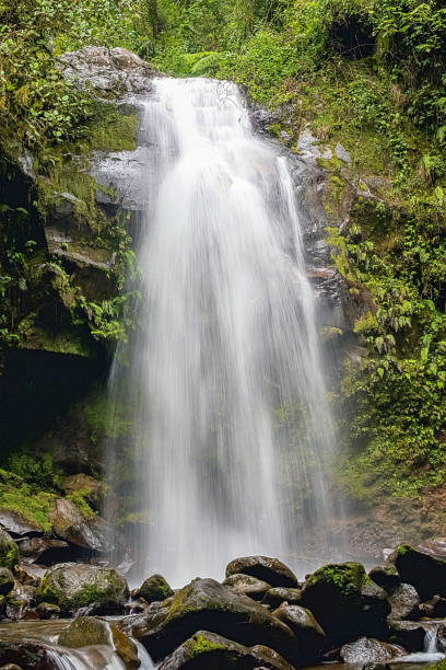 istock The lost waterfall trail near Boquete in Panama. Fall number three. 1301080552