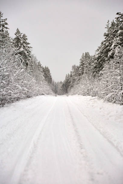 눈 덮인 숲을 통과하는 시골 길과 함께 하는 겨울 원더랜드 풍경 - drivers point of view country road snowing blizzard 뉴스 사진 이미지