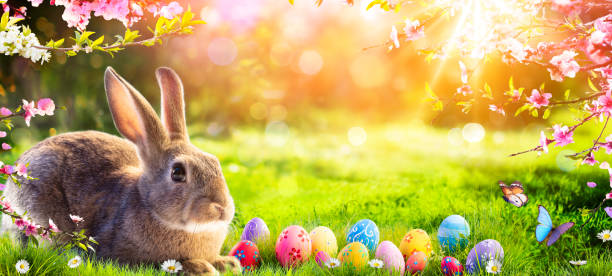 istock Easter - Cute Bunny In Sunny Garden With Decorated Eggs 1301082213