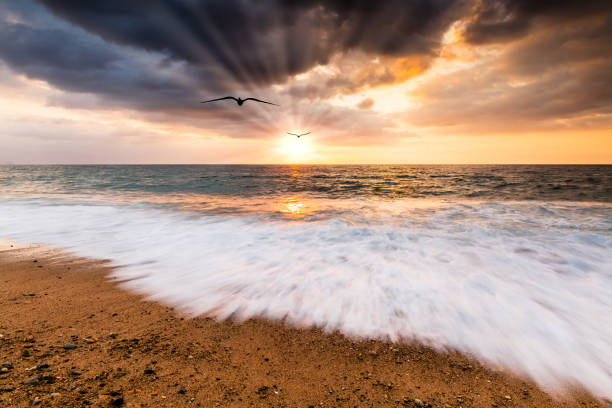 istock Inspiration Sunset Sun Ray Birds 1301087138