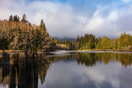 Fog and a long exposure on a small lake beside the pacific Rim Highway on Vancouver Island.