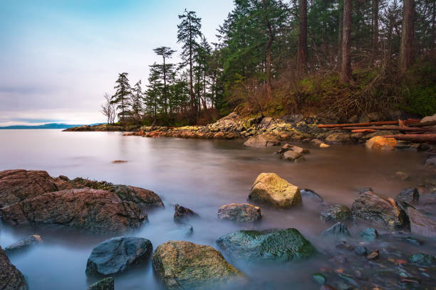 istock Coastline Along Southern Vancouver Island 1301088563