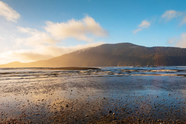 istock Port Renfrew, Vancouver Island, Canada 1301088572