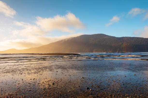 Port Renfrew, Vancouver Island, Canada Shoreline at dusk along the beach in the small town of Port Renfrew located on western Vancouver Island. port renfrew stock pictures, royalty-free photos & images