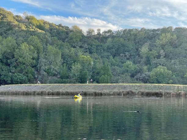 istock Boat in the lake 1301093855