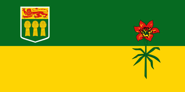 ilustraciones, imágenes clip art, dibujos animados e iconos de stock de bandera de saskatchewan - saskatchewan province canada flag