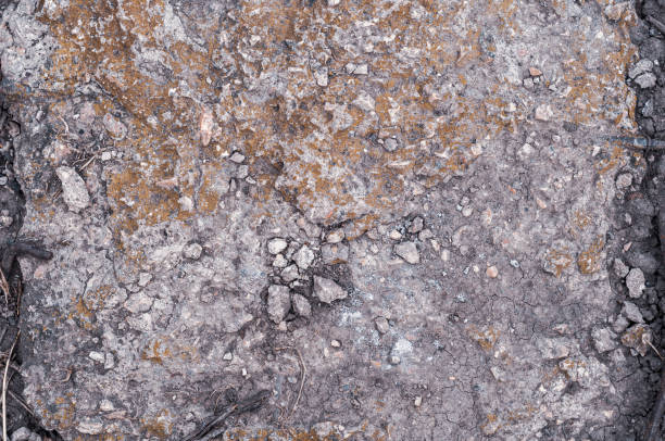 istock Textured background from old wall, damaged concrete slab material, crumbled surface with yellowed moss, uneven texture. 1301106880