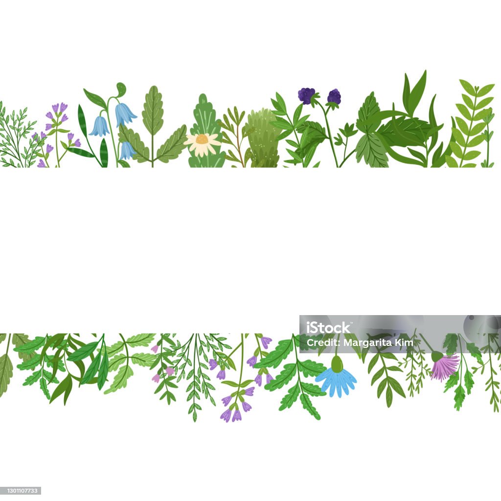 Botany Stock Image Web Stock Illustration - Download Image Now - Botany, Bunch of Flowers ...