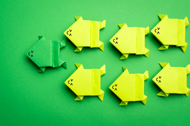 Origami Frog isolated on white