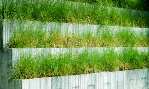 istock grass in step grow pots outdoors 1301114051