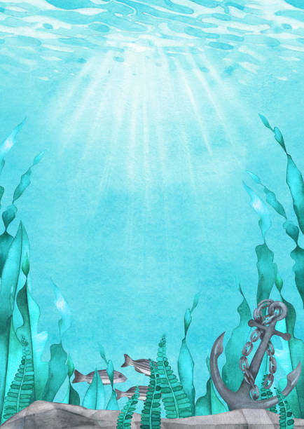 ilustrações de stock, clip art, desenhos animados e ícones de underwater scene of watercolor stones, anchor, seaweed and fish - starting at the bottom