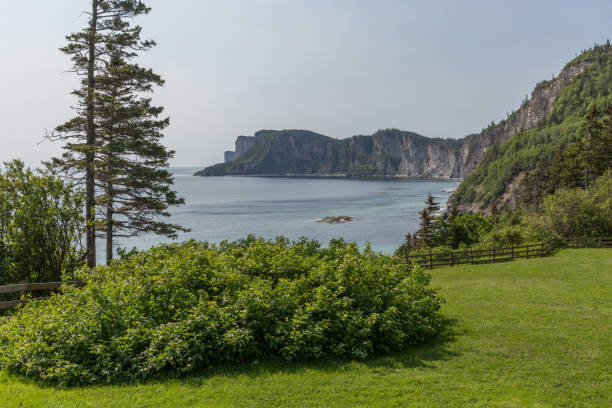 View of Cap Bon Ami in Forillon National Park, Quebec, Canada View of Cap Bon Ami in Forillon National Park, Quebec, Canada forillon national park stock pictures, royalty-free photos & images