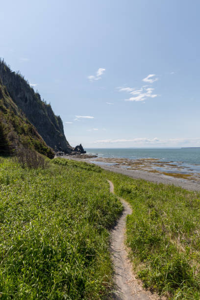 istock Hiking along the St-Lawrence River, Quebec, Canada 1301116750