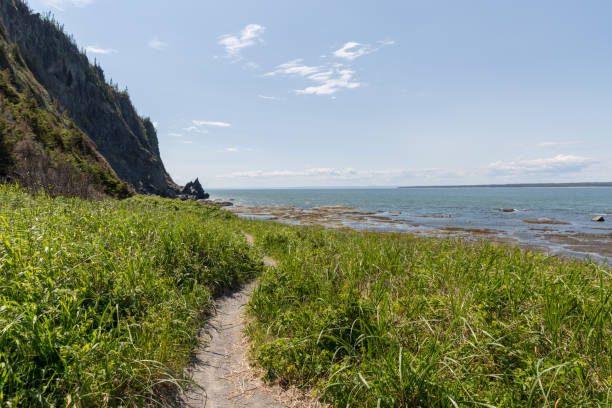 istock Hiking along the St-Lawrence River, Quebec, Canada 1301116763