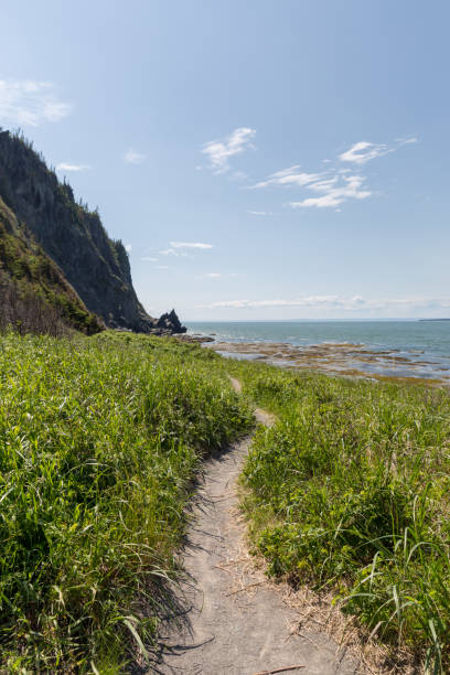 istock Hiking along the St-Lawrence River, Quebec, Canada 1301116871