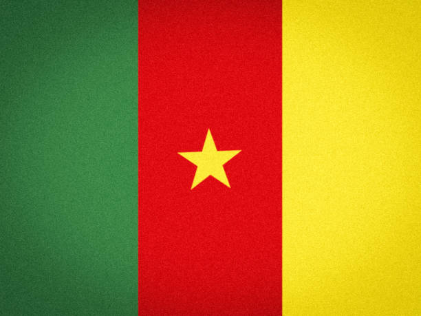 The national flag of Cameroon, green red and yellow band, Illustration image The national flag of Cameroon, green red and yellow band, Illustration image cameron montana stock illustrations