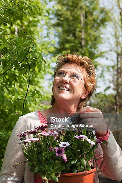 Woman Looking At Pot Plant In Nursery Stock Photo - Download Image Now - 55-59 Years, Adult, Adults Only