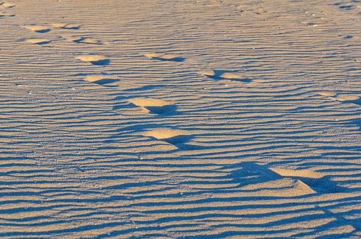 Bare feet human footprints in the beach sand with ocean waves breaking.