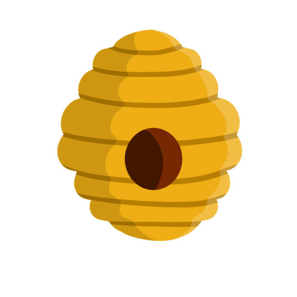 Hive. Yellow beehive. Home of the wasp and insect. Honey production. Hive. Yellow beehive. Home of the wasp and insect. Element of nature and forests. Honey production. Flat cartoon illustration isolated on white hornet swarm stock illustrations