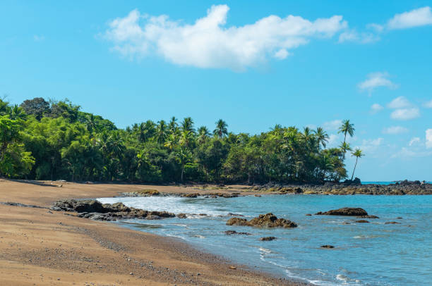 istock Madrigal Beach, Corcovado, Costa Rica 1301125523