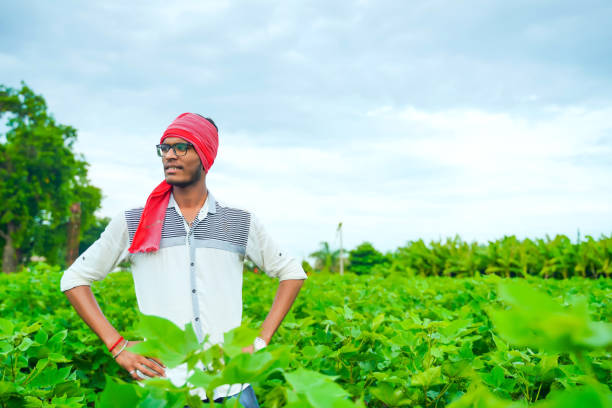 istock Young Farmer in cotton field 1301128240
