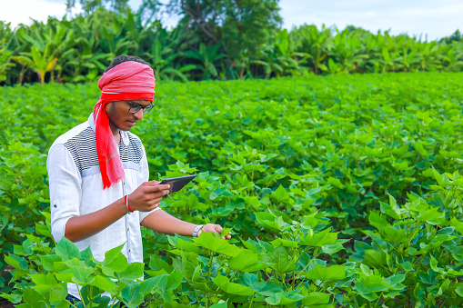 Young Farmer Using Smartphone to Take Notes on His Fields