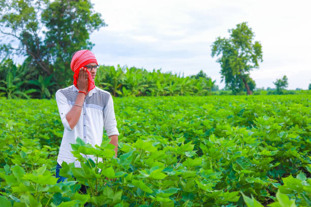 istock young farmer hard working in his field 1301128410