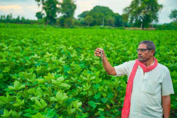 istock indian farmer checking with test tube and tablet at field 1301128472