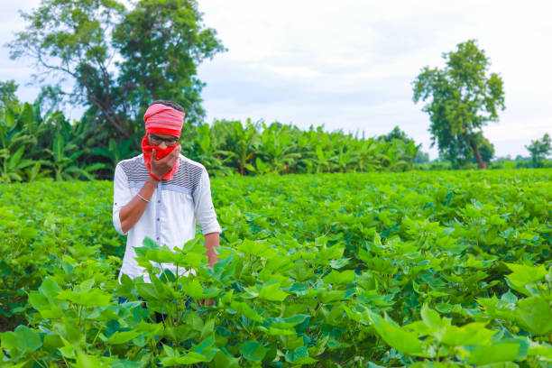 istock young farmer hard working in his field 1301128542