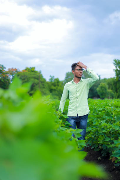 Young indian college student in cotton field Young indian college student in cotton field indian man walking in park stock pictures, royalty-free photos & images