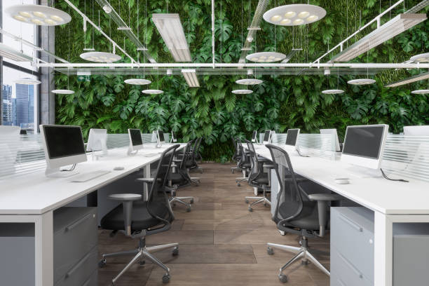Modern Open Plan Office With White Desks, Computers, Office Chairs And Vertical Garden Background.