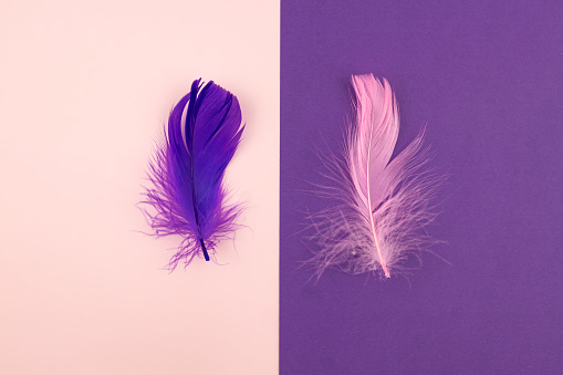 Abstract geometric paper background of pastel pink and purple colors with violet feather. Copy space for design.