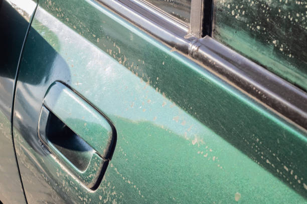 close up green car door handle with copy space - car car door green part of imagens e fotografias de stock