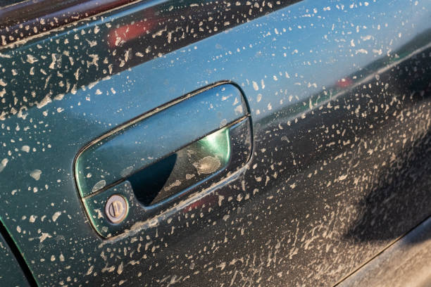 close up green car door handle with copy space - car car door green part of imagens e fotografias de stock