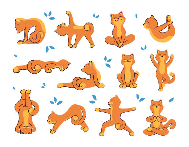 The collection of yoga-cats for a healthy lifestyle. The cartoon characters The collection of yoga-cats for a healthy lifestyle. The cartoon characters are twelve different positions. Set of vector illustrations for your designs headstand stock illustrations