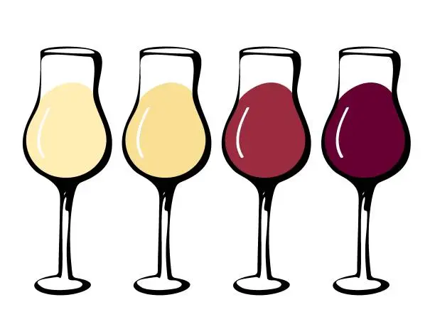 Vector illustration of Wine glass set - collection of sketched doodle wineglasses. Hand drawn glass with red, white, orange and pink wine inside, isolated vector. Winery degustation testing.