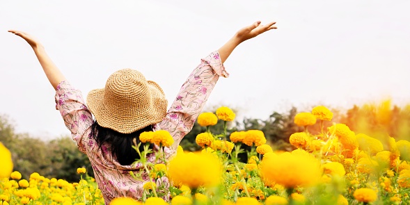 carefree happy woman travelling in a beautiful yellow flower garden arms up enjoying fresh nature