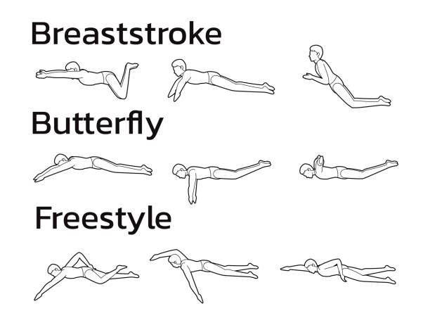 수영 유형 포즈 애니메이션 모션 시퀀스 만화 벡터 흑백 - 평영 stock illustrations