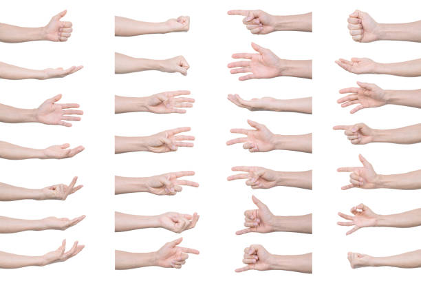 istock Collection of man hands gestures Isolated on white background 1301144984