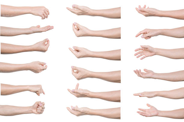 Multiple set of man hands gestures isolated on white background. stock photo