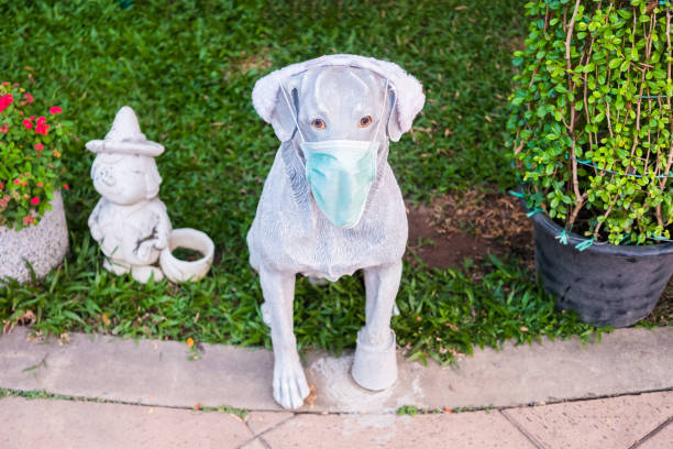 istock Plaster Garden Dog with Mask 1301147982
