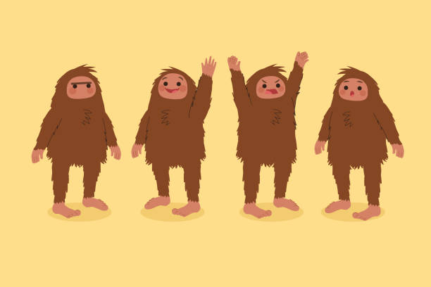 Cartoon bigfoot sasquatch character collection Vector illustration Cartoon bigfoot sasquatch character collection Vector illustration big feet cartoon stock illustrations