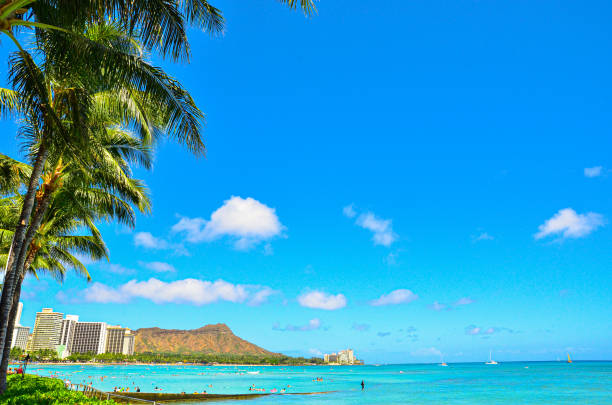A photo that makes you want to go to the resort.
