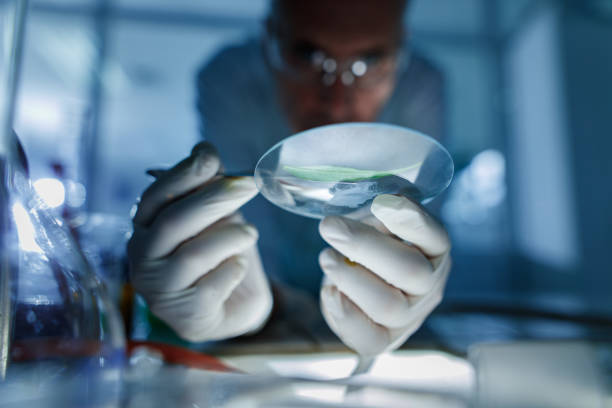 istock Close up of analyzing leaf in laboratory. 1301154001