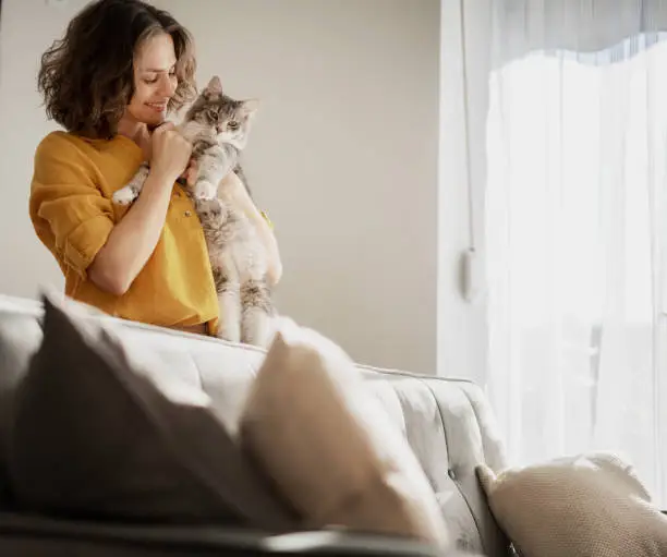 Photo of Beautiful cheerful young woman with a cute gray cat in her arms at home in the interior, friendship and love for pets