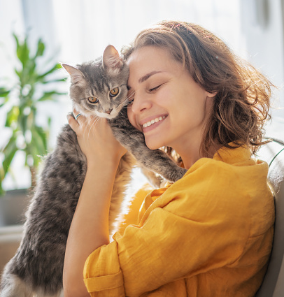 Close-up portrait of a beautiful cheerful young woman with a cute gray cat in her arms at home on the sofa
