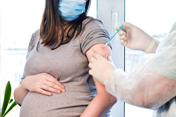 Doctor giving COVID -19 coronavirus vaccine injection to pregnant woman. Doctor Wearing Blue Gloves Vaccinating Young Pregnant Woman In Clinic. People vaccination concept. Pregnant Vaccination. Pregnant Woman In Face Mask Getting Vaccinated in Clinic. Doctor Giving Corona Virus Vaccine Injection Patient. Covid-19 Flu Protection. human papilloma virus photos stock pictures, royalty-free photos & images