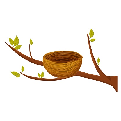 Empty bird nest from twigs on tree branch with leaves isolated on white background. Spring time, vector clipart, brown wooden construction, home from sticks. Detailed, bright object.